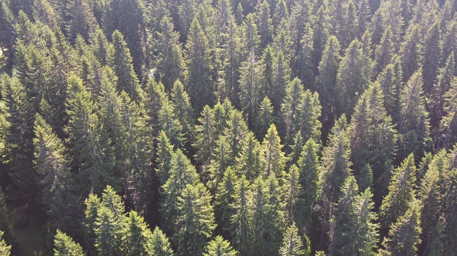  Best Western Princess Hotel är miljöcertifierade via Green Key och arbetar ständigt för hållbarhet.